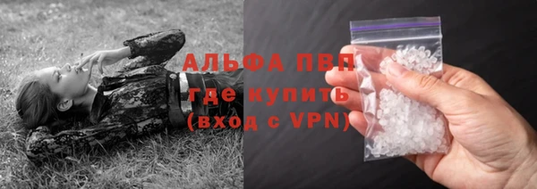 гидропоника Алзамай