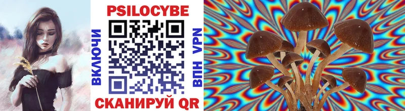 Псилоцибиновые грибы мицелий Черноголовка