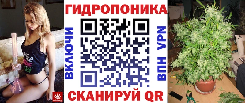 kraken ТОР купить сайты Черноголовка Канабис тримм
